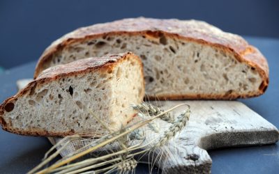 Top Tipp: Qualität von Brot